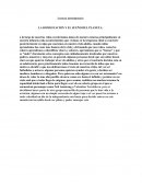 Lectura introductoria LA DOMESTACIÓN Y EL SUEÑO DEL PLANETA