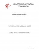 Ensayo Teoría emprendimiento