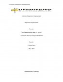 Análisis y Diagnóstico Organizacional LABORATORIOS PRONABELL S.A.S