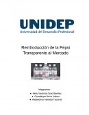 Investigación de Mercados (Pepsi)