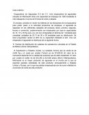 Caso práctico Empacadora de Aguacates S.A de C.V