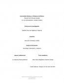 Optimización gerencial de plantilla de personal