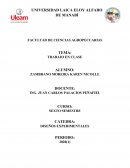 DISEÑOS EXPERIMENTALES