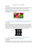 Levantamiento poligonal cerrada