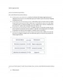 Macro presentación de jabon Rey