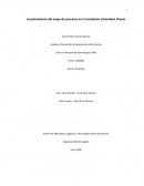 Levantamiento del mapa de procesos en la Fundación Colombian Dream