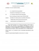 INFORME DE PLANIFICACION DE CAMPAÑA PREVENTIVA PROMOCIONAL ARTICULADO EN SALUD BUCAL