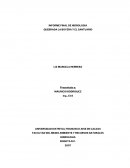 HIDROLOGIA QUEBRADA LA BOYERA Y EL SANTUARIO