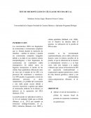 TEST DE MICRONÚCLEOS EN CÉLULAS DE MUCOSA BUCAL