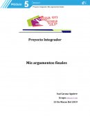 Proyecto Integrador Mis argumentos finales