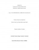 Actividad 4. Reseña, Enfoque Conductivo Conductual