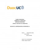 Análisis de la empresa Soprole Inversiones S.A