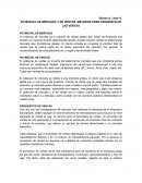 Potencial de mercado y potencial de ventas