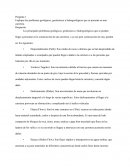 Problemas geológicos, geotécnicos e hidrogeológicos