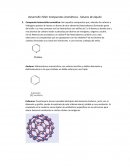 Desarrollo Taller Compuestos Aromáticos - haluros de alquilo