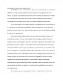 Ensayo limites de las organizaciones