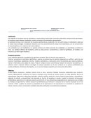 Ejemplo Planificacion 2do año secundaria