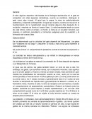 Ciclo reproductivo del gatos