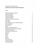 PROGRAMA DE INTEGRAL DE PSICOESTIMULACION