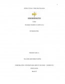 Estrucrura y psicopatologia