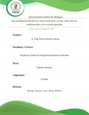 LAS INTERFERENCIAS DE LOS SERES HUMANOS EN LOS CICLOS DE LOS NUTRIMENTOS Y LAS CONSECUENCIAS