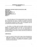 PROCESOS FISIOPATOLÓGICOS EN EL NIÑO