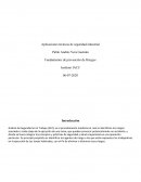 Análisis de Seguridad en el Trabajo (AST)