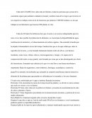 Contaminacion del suelo