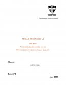 Informe sobre la educación. Materia: configuraciones culturales del sujeto