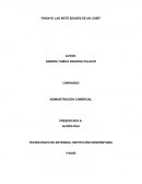 Ensayo de las siete edades de un lider