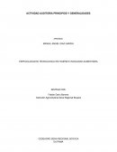 PRINCIPIOS AUIDTORIA