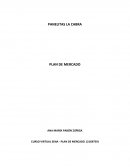 Formulación estratégica PLC Ana Pabón sena agosto 2020