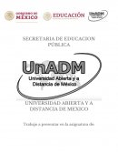 INTRODUCCION AL PENSAMIENTO MATEMATICO