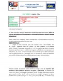 SSL TAREA 1: Análisis Video