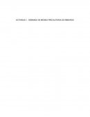 DEMANDA DE MEDIDA PRECAUTORIA DE EMBARGO