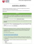 Que prefieren las universidades privadas o las publicas? porque