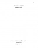 SITUACIÓN PROBLEMA Magnolios Express