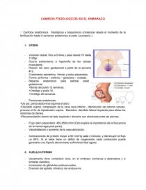 CAMBIOS FISIOLOGICOS EN EL EMBARAZO. Página 1