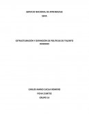 ESTRUCTURACIÓN Y DEFINICIÓN DE POLITICAS DEL T.H.