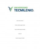 ¿Por qué escogí Ingeniería Industrial y de Sistemas?