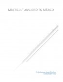 Actividad integradora 4 multiculturalidad