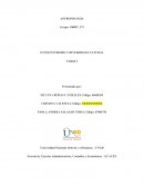 ETNOCENTRISMO Y DIVERSIDAD CULTURAL