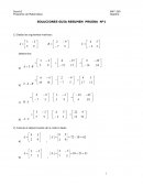 SOLUCIONES GUIA RESUMEN PRUEBA Nº1
