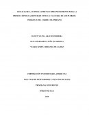 EFICACIA DE LA CONSULTA PREVIA COMO INSTRUMENTO PARA LA PROTECCIÓN DE LA IDENTIDAD ETNICA Y CULTURAL DE LOS PUEBLOS INDÍGENAS DEL CARIBE COLOMBIANO
