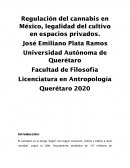 Regulación del cannabis en México, legalidad del cultivo en espacios privados