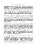 Ciclos de Cambio Organizacional