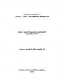 Evidencia 3: Taller “Caso laboratorio farmacéutico”