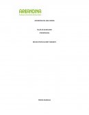Taller de bilinguismo Epidemiologia