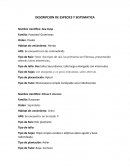 DESCRIPCION DE ESPECIES Y SISTEMATICA