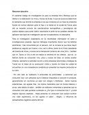 Investigación de mercados empresa Nino Montoya